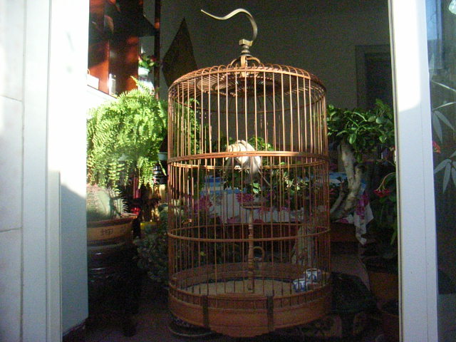 子珈2011照片 014.jpg