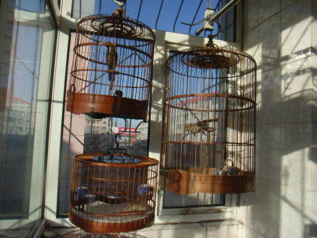 子珈2011照片 017.jpg