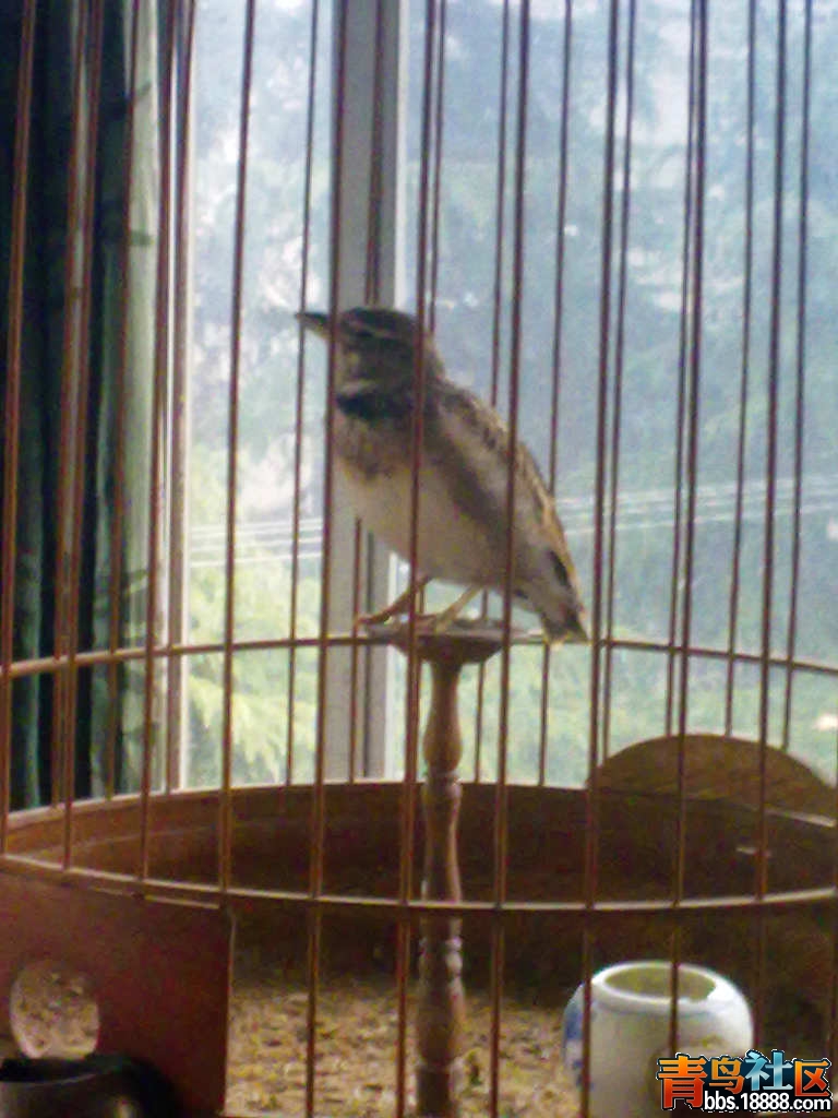 201201081574.jpg