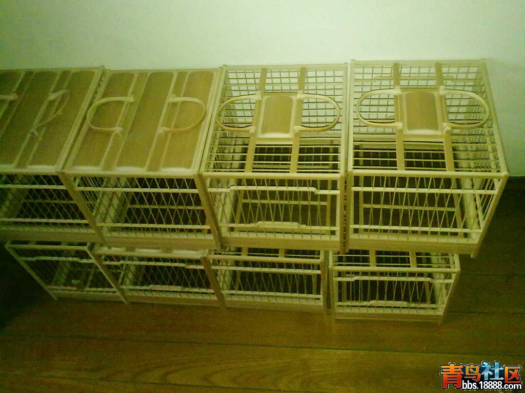 201201081577.jpg