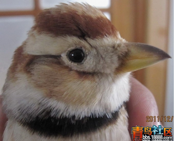 QQ截图20120101220834.jpg