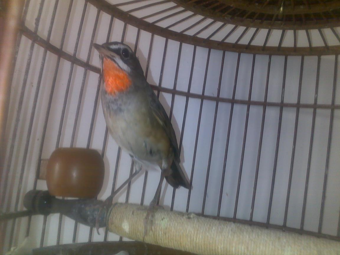 201201041365.jpg