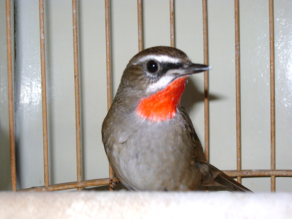 DSC02721_副本.jpg