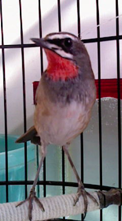 RK000008.JPG