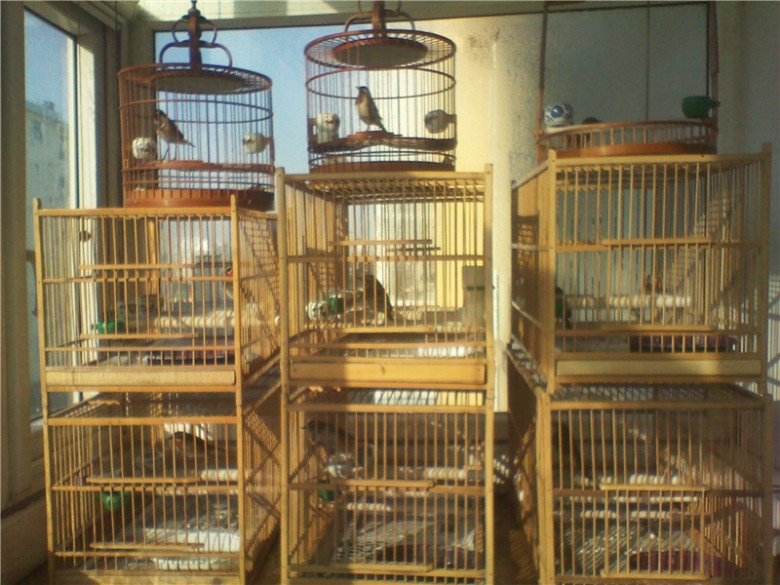 IMG_20120125_095255_副本.jpg