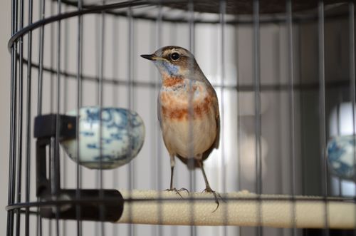 DSC_4552.jpg