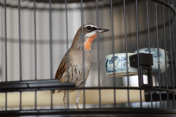 DSC_4588.jpg
