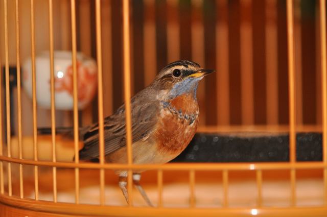 DSC_1353.JPG