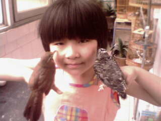 IMG0746A.jpg