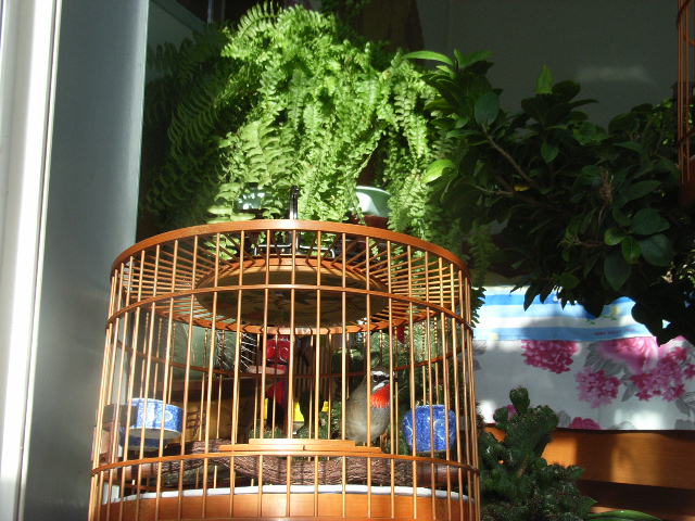 子珈2011照片 050.jpg