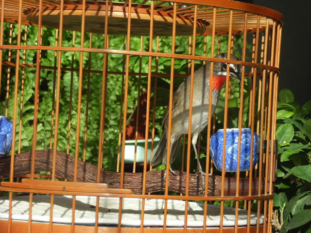 子珈2011照片 023.jpg