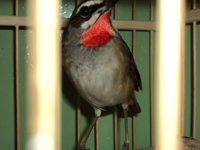 DSC00927.JPG