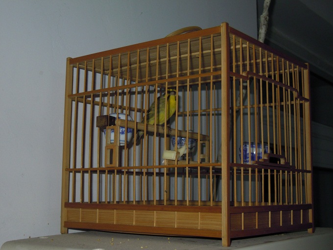 DSCN1215.JPG