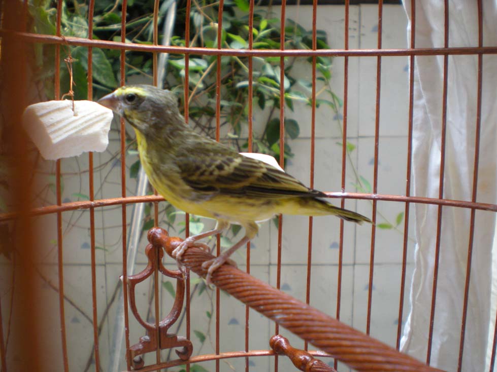 DSCN1706.JPG