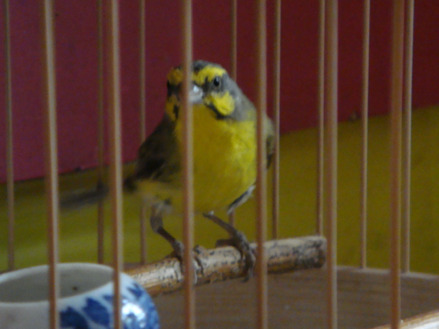 DSC05345.JPG