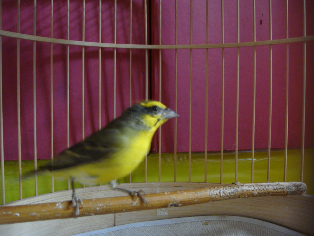DSC05350.JPG