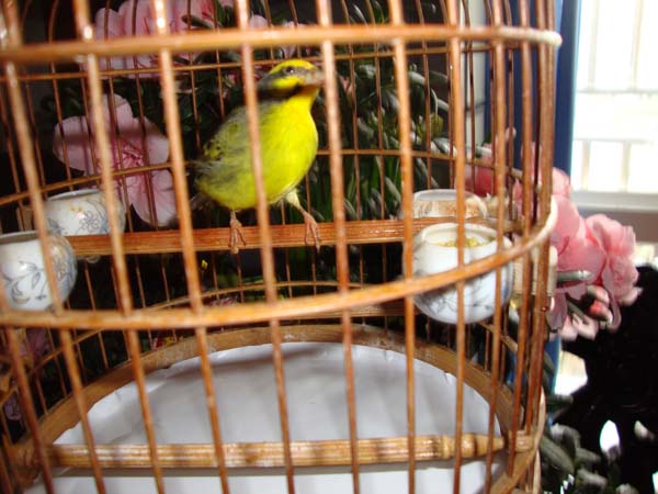 DSC03590.jpg