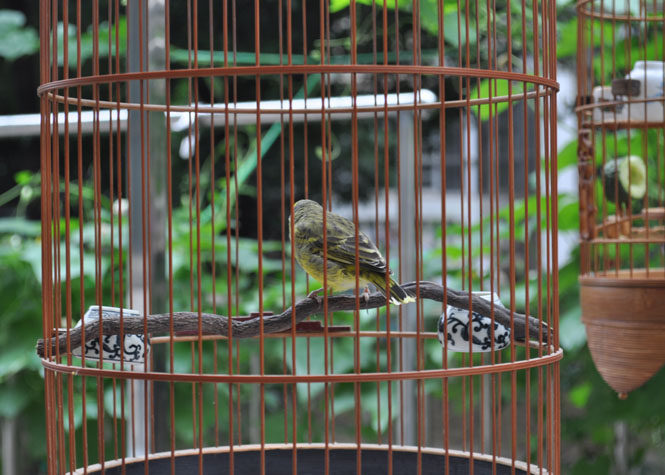 DSC_0040.JPG