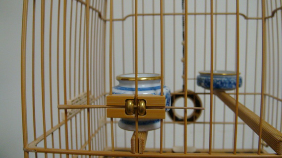 DSC04547_调整大小.JPG