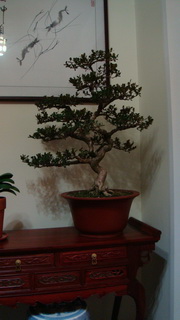 DSC04927_调整大小.JPG