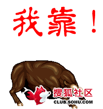 未命名.gif
