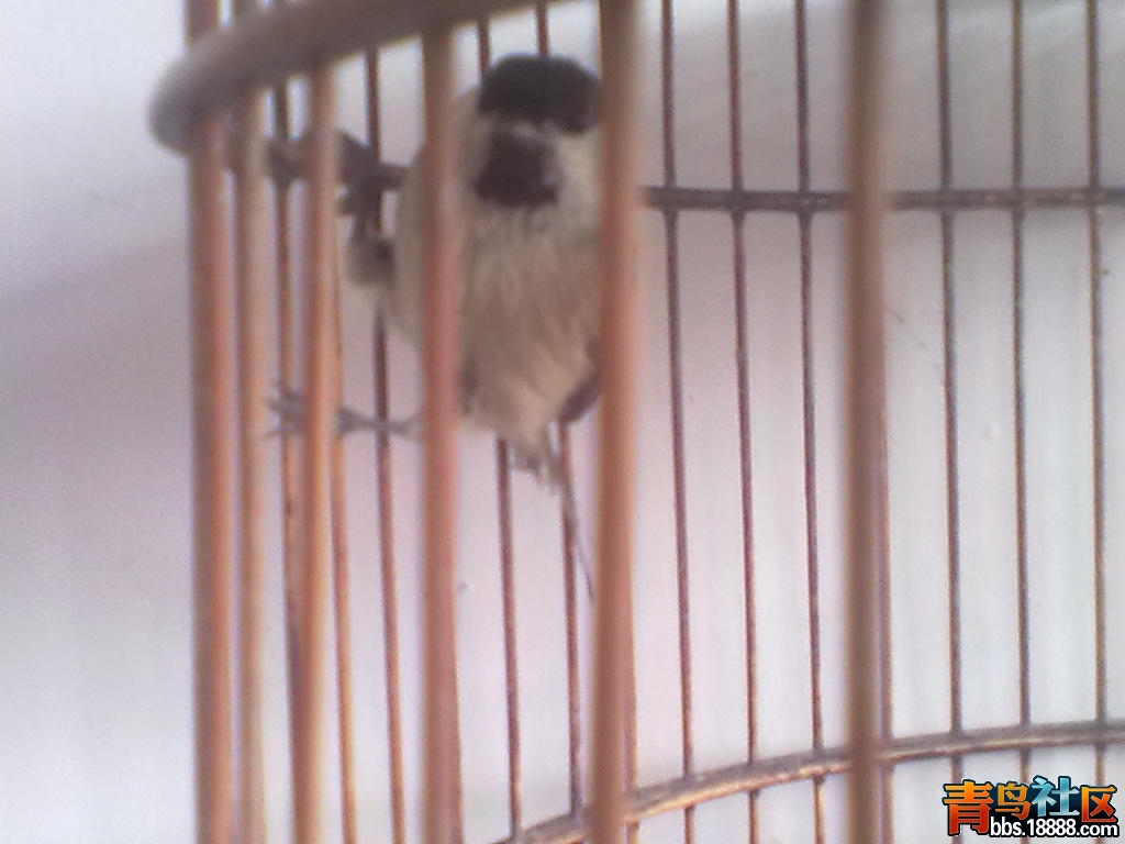 20120128422.jpg