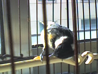 16-01-11_1135.jpg