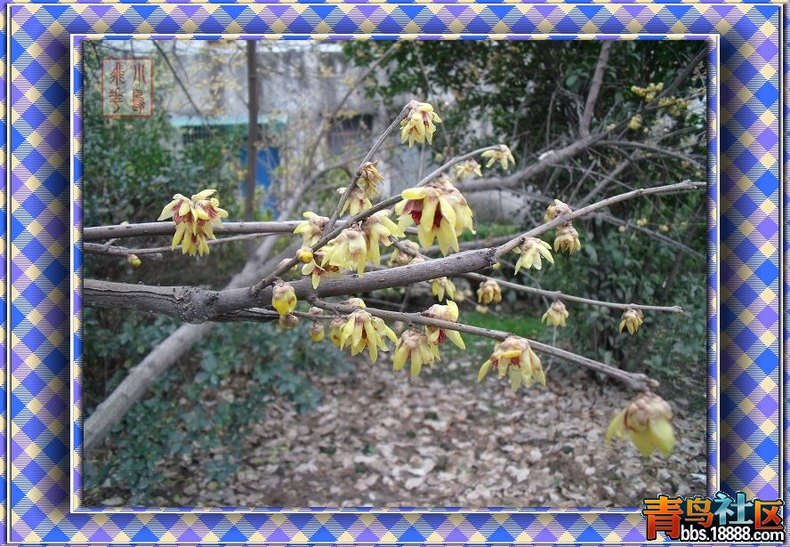DSCF7328.jpg