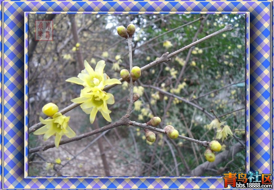 DSCF7338.jpg