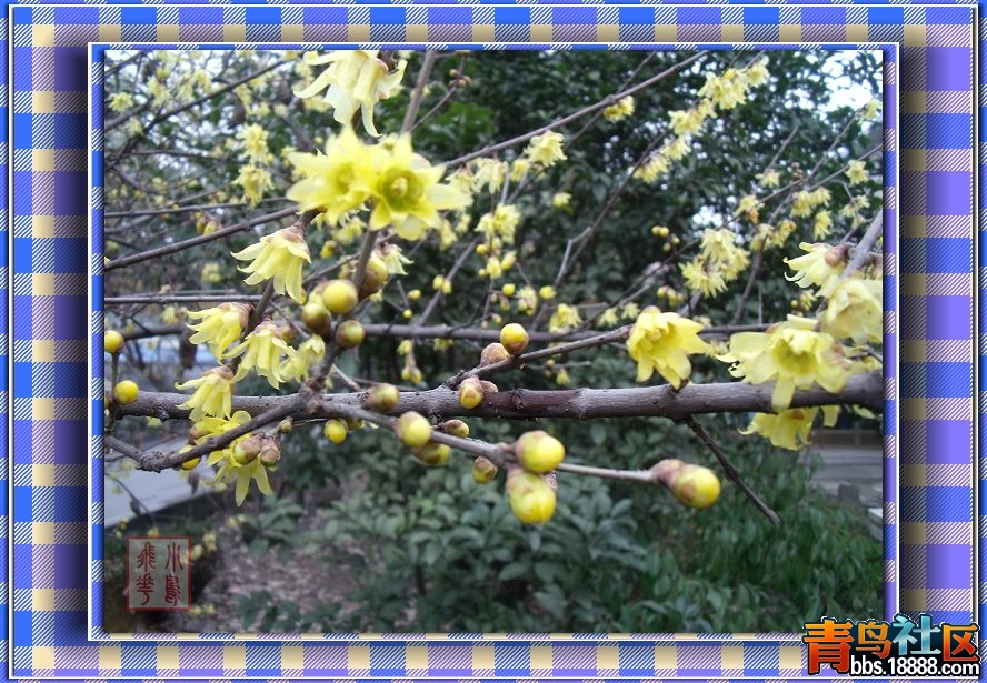 DSCF7335.jpg