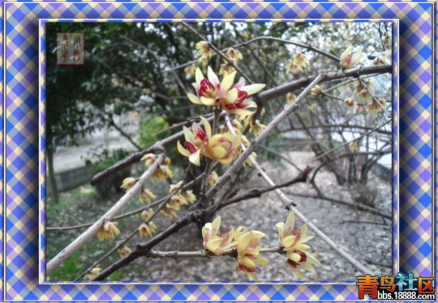 DSCF7323.jpg