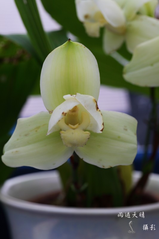 conew_dpp_00081.jpg