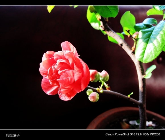 IMG_6597.JPG