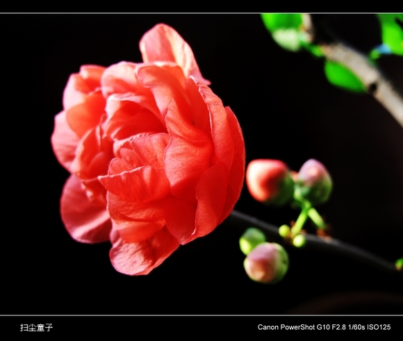 IMG_6607.JPG
