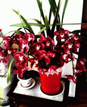 调整大小 IMAG0015.gif