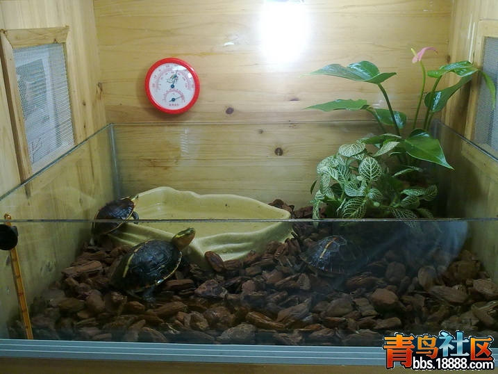 20111005168.jpg