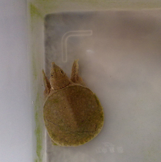 20110516379.jpg