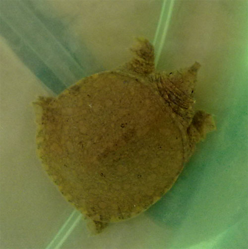 20110419331.jpg