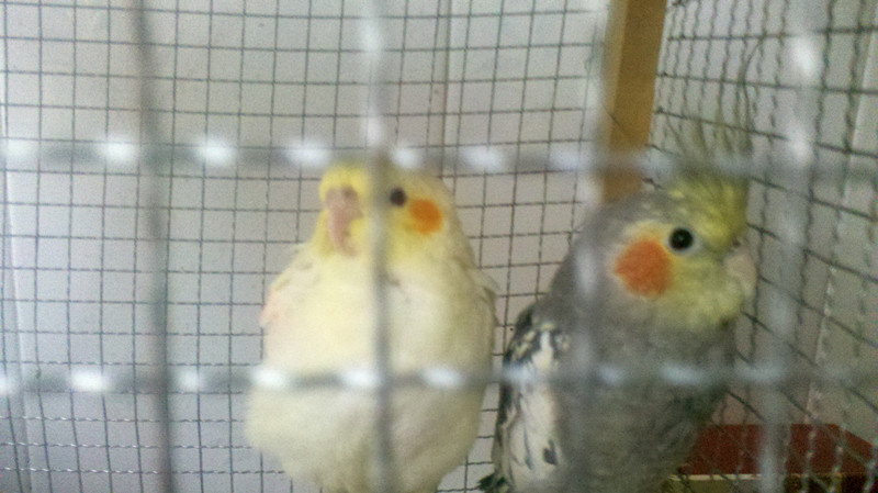 2012-02-24_17-33-49_91_副本.jpg