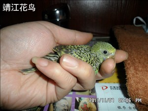 SAM_0260_副本.jpg