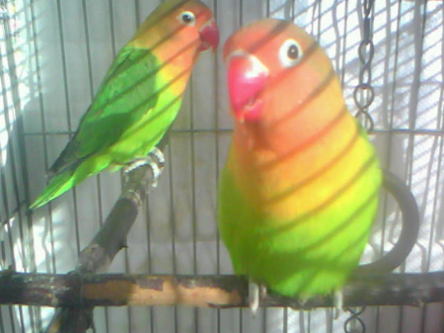 20120208I001.jpg