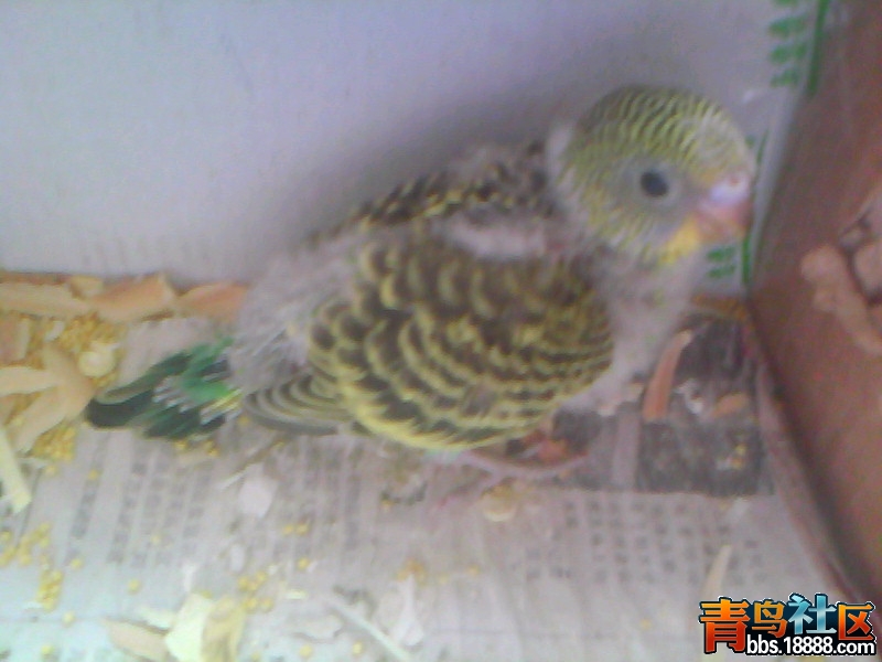 20120225E008.jpg