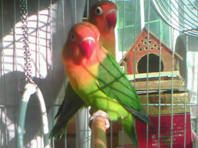 20120114D002.jpg