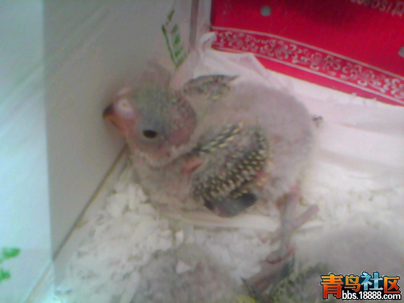 20120217C008.jpg