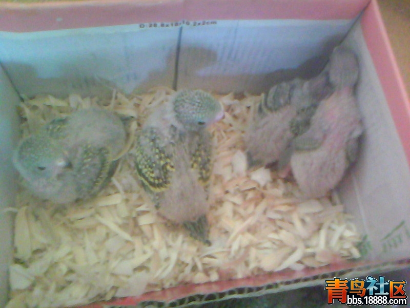 20120223C018.jpg