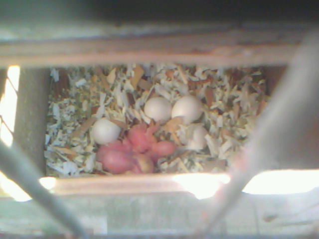 20120207A004.jpg