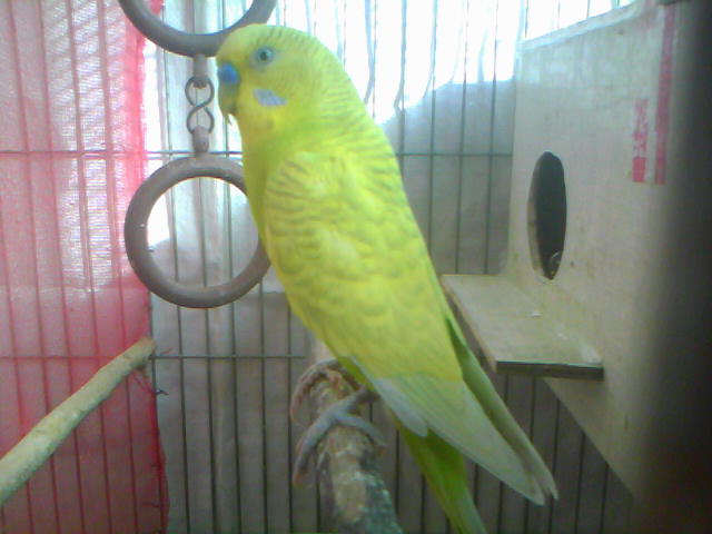 20120206D009.jpg
