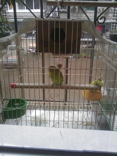 IMAG0009.jpg
