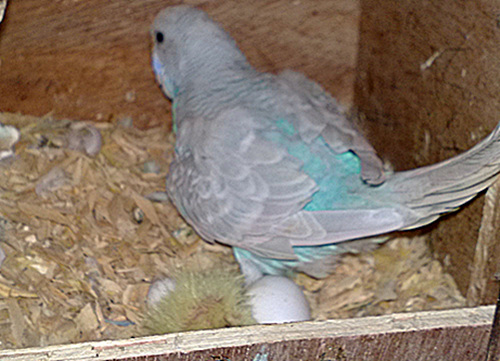 20120223326.jpg