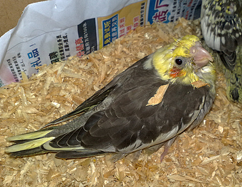 20120225359.jpg